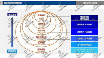 劉春華老師解讀 2017年度公司目標設計與營銷戰略規劃